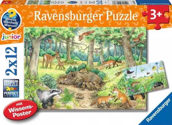 Spiel 6480.0