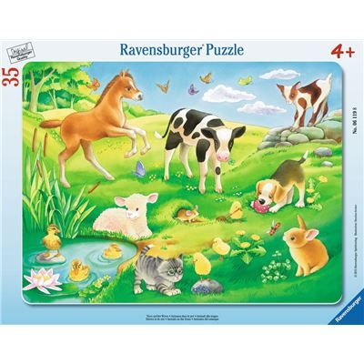 Spiel 6494.0